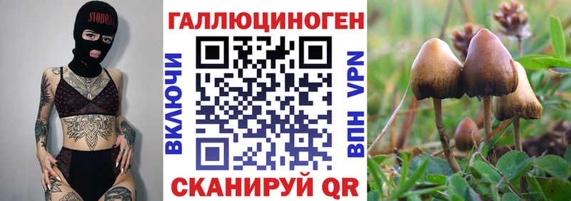 Галлюциногенные грибы Magic Shrooms  Покровск 